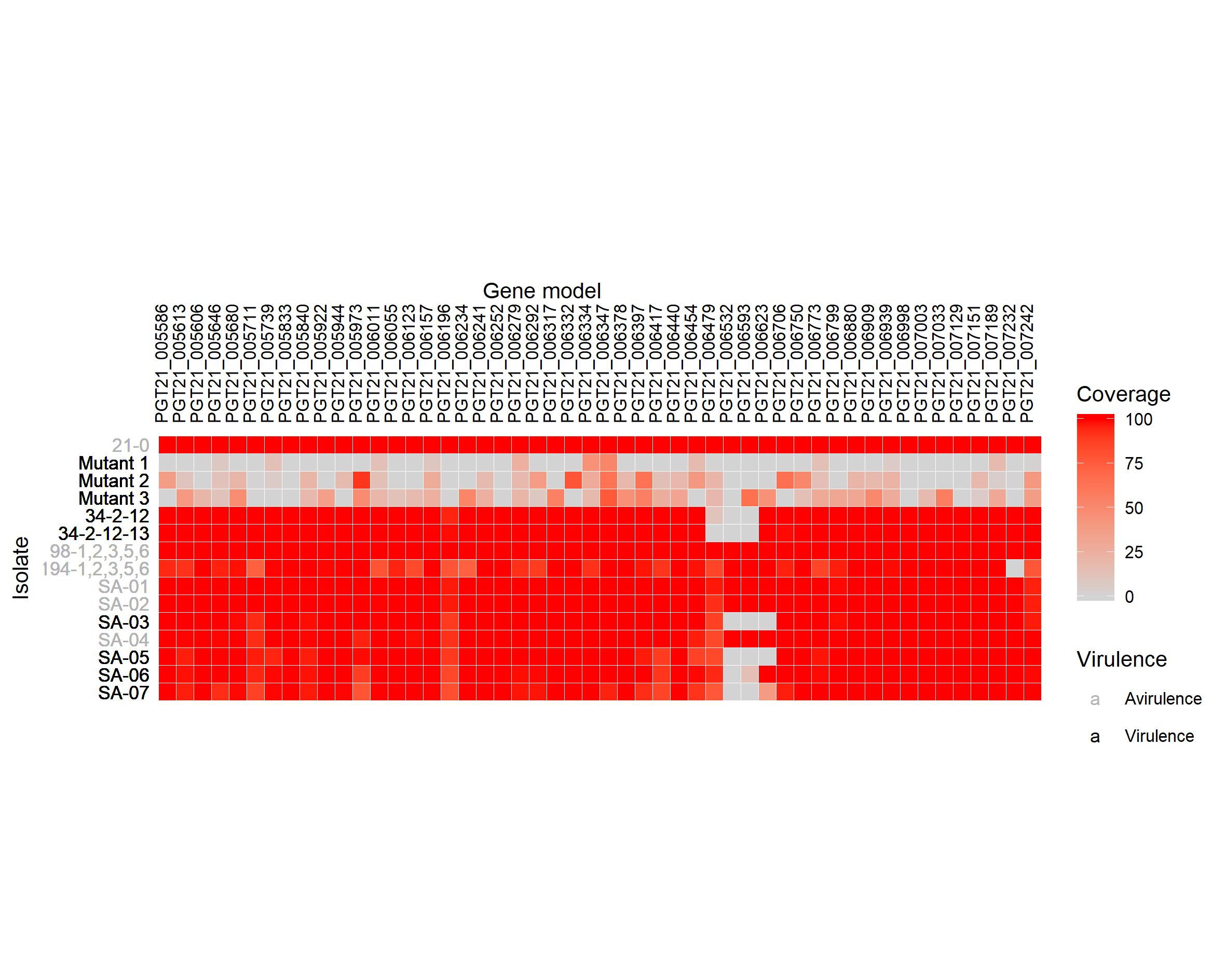 *Figure.3. Heatmap showing percentage of gene coverage and phenotypic data per rust strain*