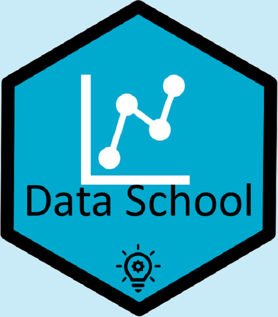 Data School Logo